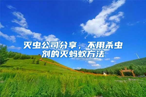 滅蟲公司分享，不用殺蟲劑的滅螞蟻方法