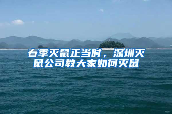 春季滅鼠正當時，深圳滅鼠公司教大家如何滅鼠