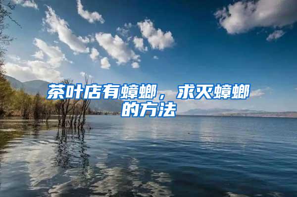 茶葉店有蟑螂，求滅蟑螂的方法