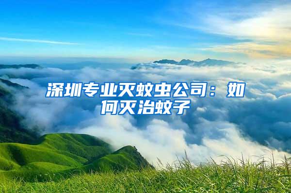 深圳專業(yè)滅蚊蟲(chóng)公司：如何滅治蚊子