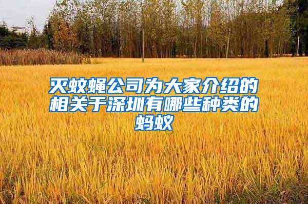 滅蚊蠅公司為大家介紹的相關(guān)于深圳有哪些種類的螞蟻