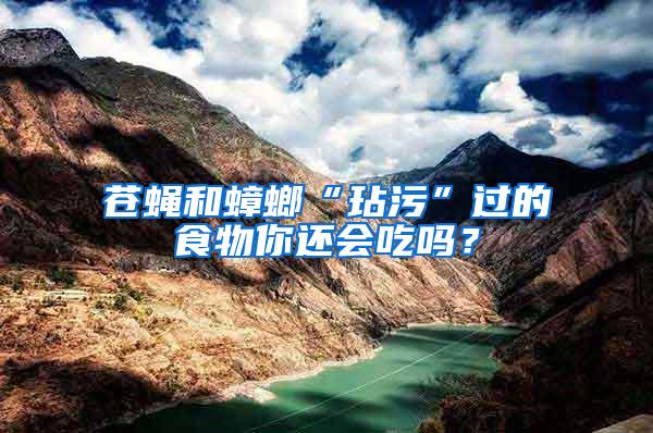 蒼蠅和蟑螂“玷污”過的食物你還會吃嗎？