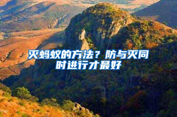 滅螞蟻的方法？防與滅同時進行才最好