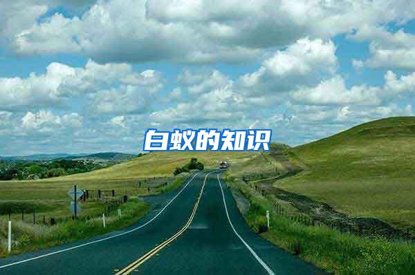 白蟻的知識(shí)