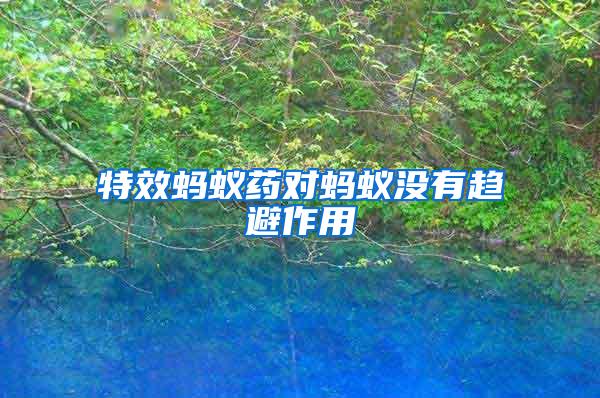 特效螞蟻藥對(duì)螞蟻沒有趨避作用