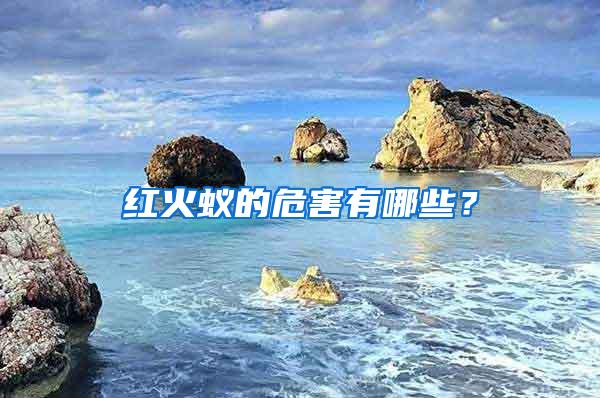 紅火蟻的危害有哪些？