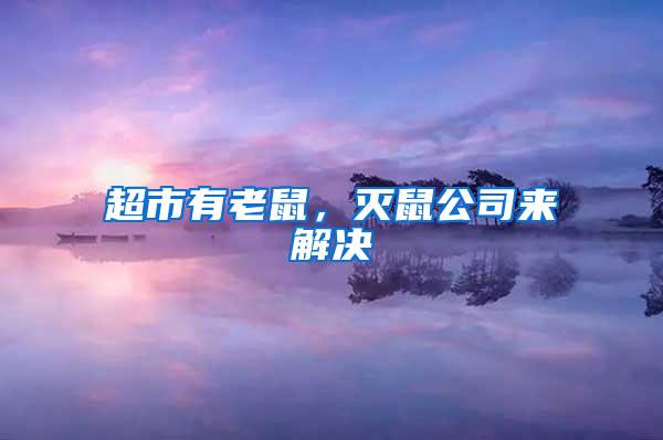 超市有老鼠，滅鼠公司來解決