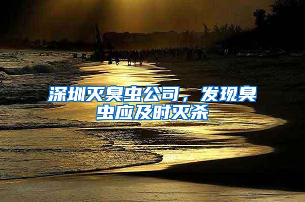 深圳滅臭蟲公司，發現臭蟲應及時滅殺