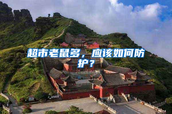 超市老鼠多，應(yīng)該如何防護(hù)？