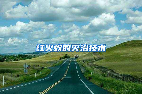 紅火蟻的滅治技術(shù)