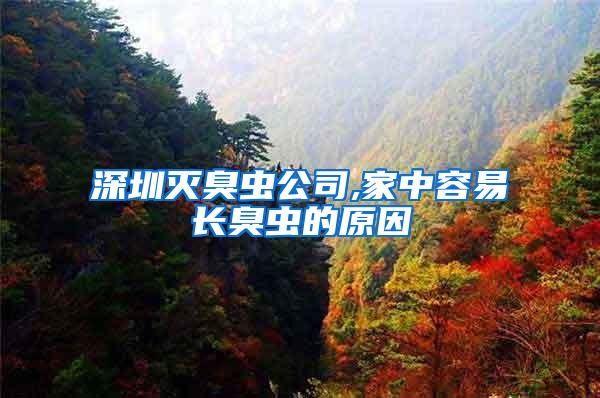 深圳滅臭蟲公司,家中容易長(zhǎng)臭蟲的原因