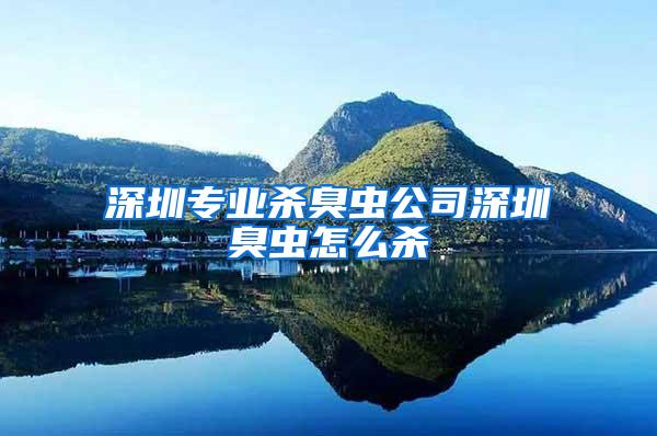 深圳專業(yè)殺臭蟲公司深圳臭蟲怎么殺