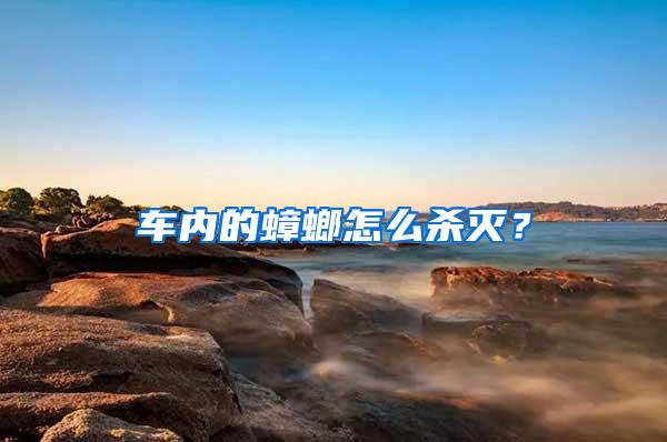 車內(nèi)的蟑螂怎么殺滅？
