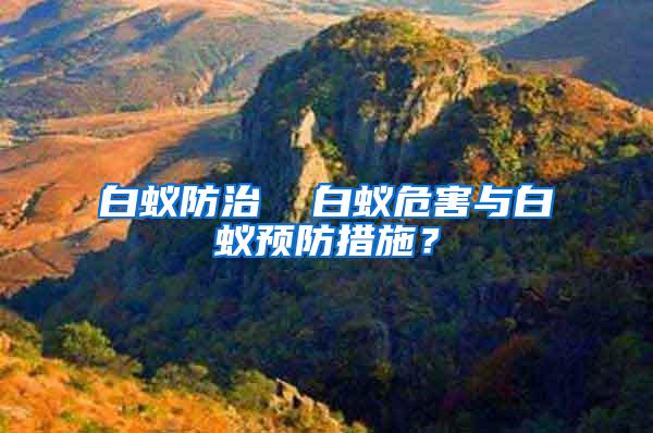 白蟻防治  白蟻危害與白蟻預防措施？