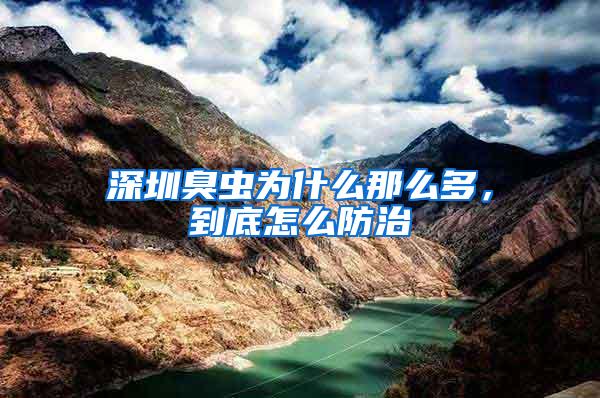 深圳臭蟲為什么那么多，到底怎么防治