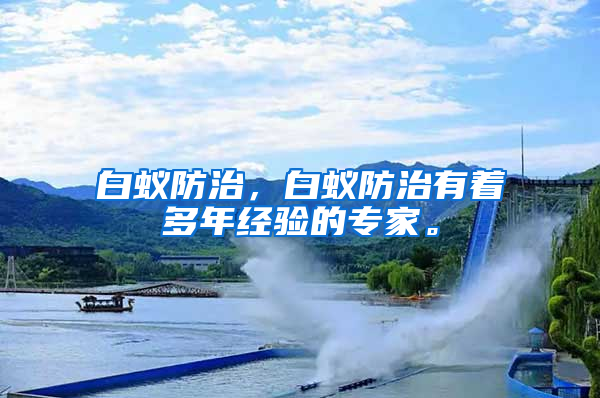 白蟻防治，白蟻防治有著多年經驗的專家。