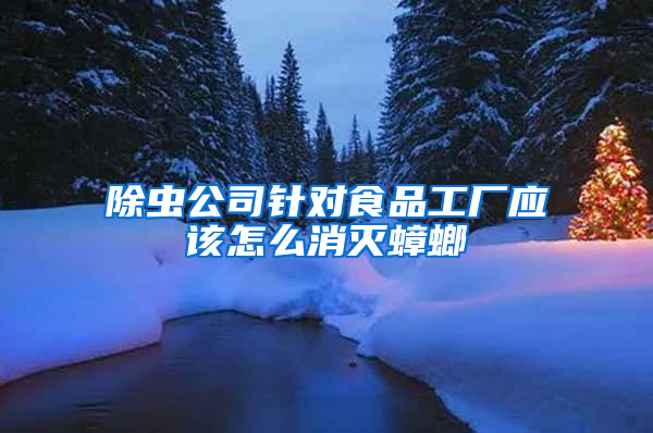 除蟲公司針對食品工廠應該怎么消滅蟑螂
