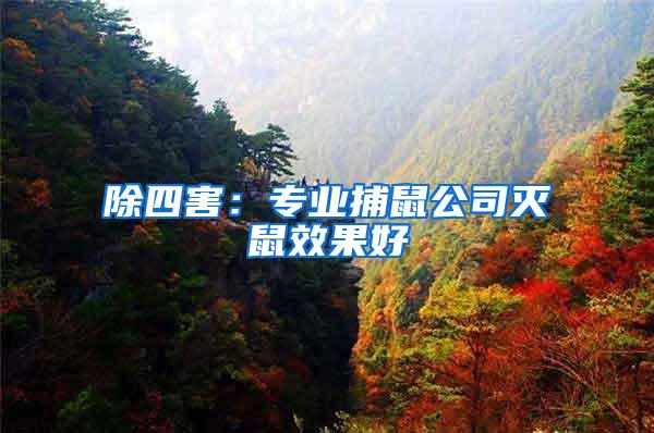 除四害：專業(yè)捕鼠公司滅鼠效果好