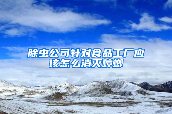 除蟲公司針對(duì)食品工廠應(yīng)該怎么消滅蟑螂