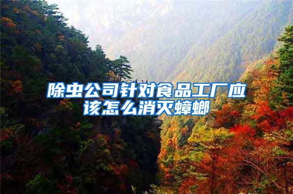 除蟲公司針對食品工廠應(yīng)該怎么消滅蟑螂