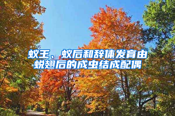 蟻王、蟻后和辭體發(fā)育由蛻翅后的成蟲結(jié)成配偶