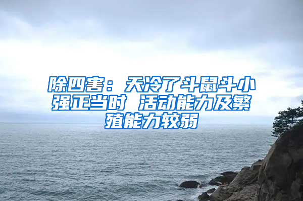 除四害：天冷了斗鼠斗小強正當時 活動能力及繁殖能力較弱