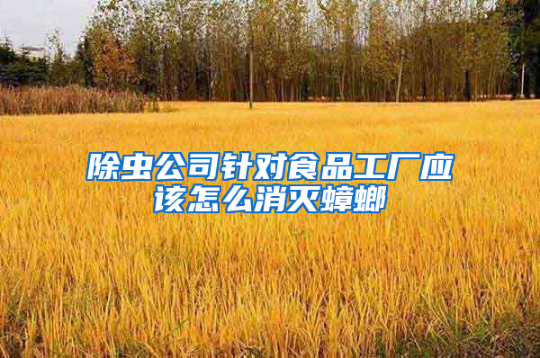 除蟲公司針對食品工廠應(yīng)該怎么消滅蟑螂