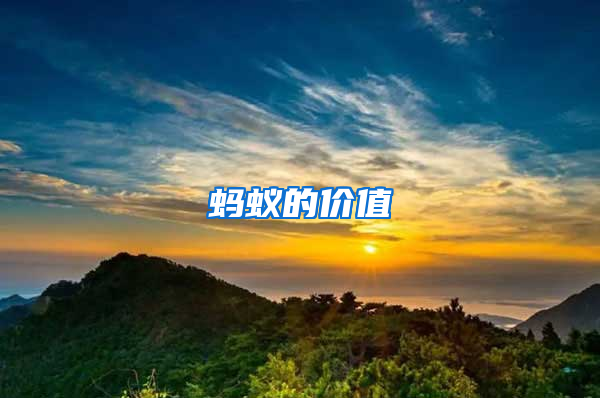 螞蟻的價(jià)值