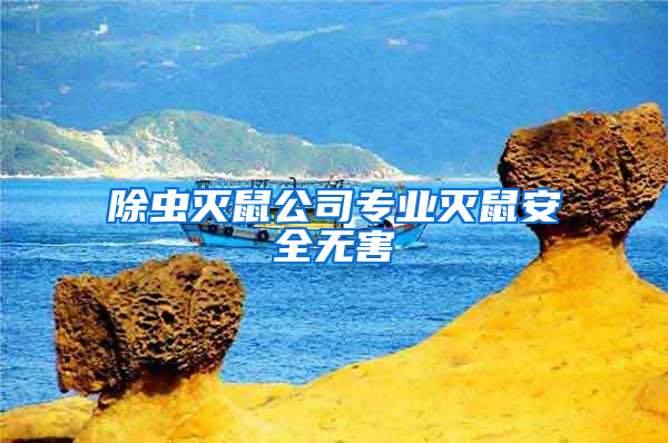 除蟲滅鼠公司專業(yè)滅鼠安全無害