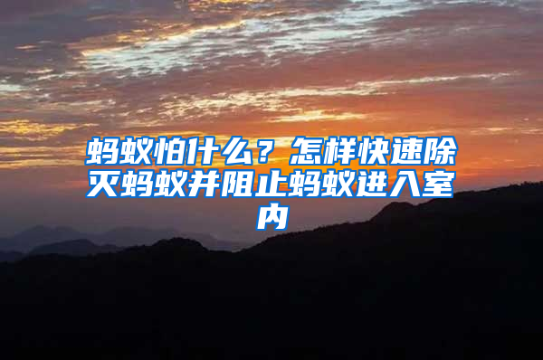 螞蟻怕什么？怎樣快速除滅螞蟻并阻止螞蟻進(jìn)入室內(nèi)