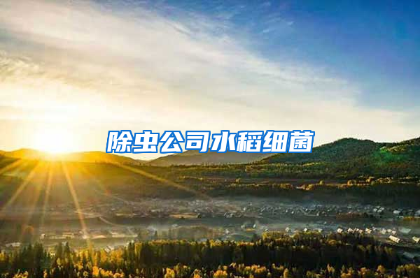 除蟲公司水稻細(xì)菌