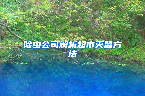 除蟲(chóng)公司解析超市滅鼠方法