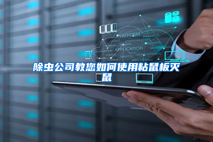 除蟲(chóng)公司教您如何使用粘鼠板滅鼠