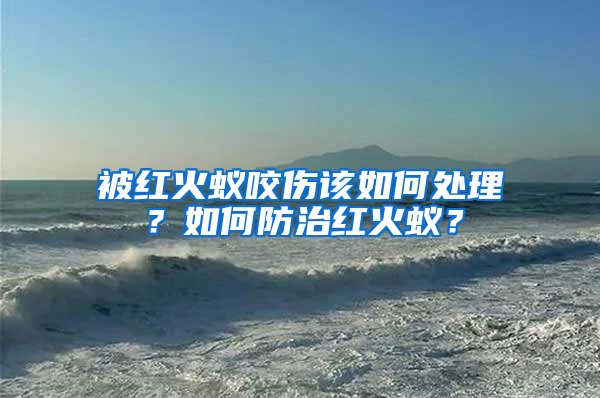 被紅火蟻咬傷該如何處理？如何防治紅火蟻？