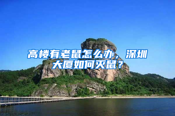 高樓有老鼠怎么辦，深圳大廈如何滅鼠？
