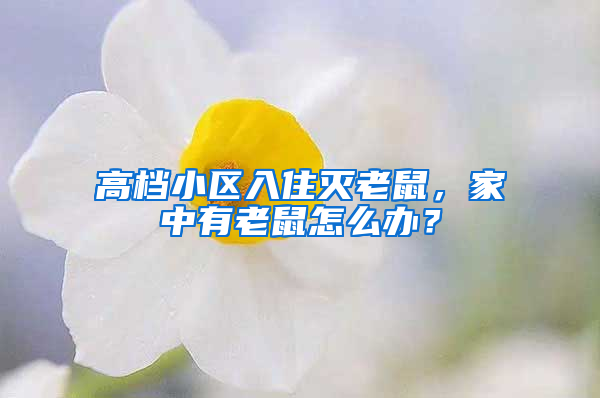 高檔小區(qū)入住滅老鼠，家中有老鼠怎么辦？