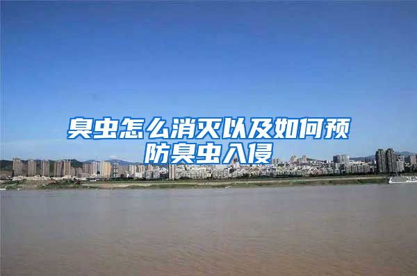臭蟲(chóng)怎么消滅以及如何預(yù)防臭蟲(chóng)入侵