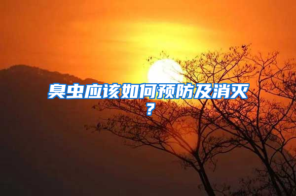 臭蟲應該如何預防及消滅？