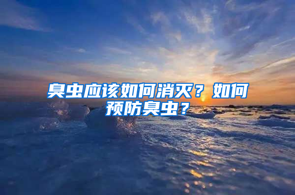 臭蟲應該如何消滅？如何預防臭蟲？