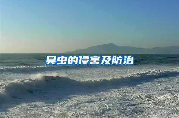 臭蟲(chóng)的侵害及防治
