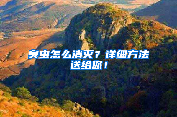 臭蟲怎么消滅？詳細方法送給您！