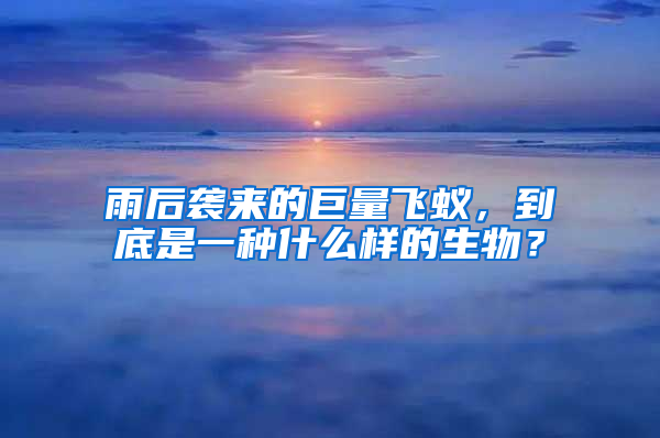 雨后襲來(lái)的巨量飛蟻，到底是一種什么樣的生物？