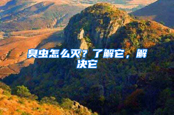 臭蟲怎么滅？了解它，解決它