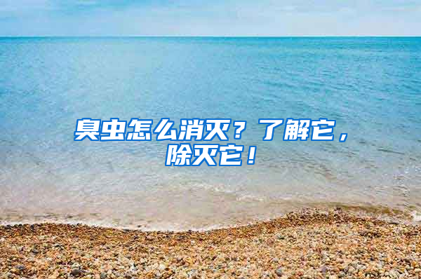 臭蟲怎么消滅？了解它，除滅它！