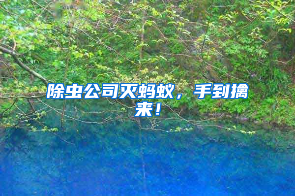 除蟲公司滅螞蟻，手到擒來！
