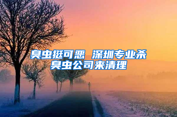 臭蟲(chóng)挺可惡 深圳專業(yè)殺臭蟲(chóng)公司來(lái)清理