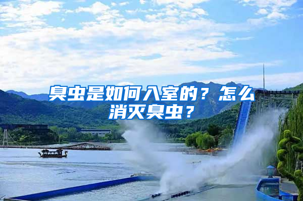 臭蟲是如何入室的？怎么消滅臭蟲？