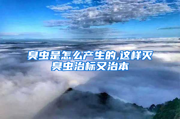 臭蟲(chóng)是怎么產(chǎn)生的,這樣滅臭蟲(chóng)治標(biāo)又治本