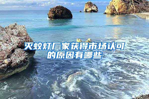 滅蚊燈廠家獲得市場認(rèn)可的原因有哪些