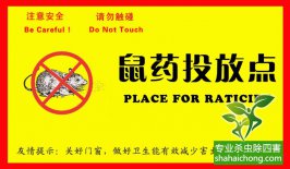 老鼠入室如何消滅？滅鼠公司專業分析